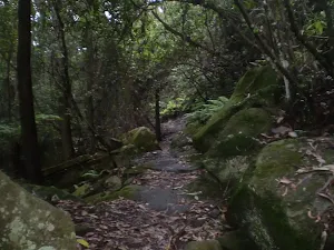 The track between the Railway and the Landslide