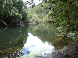 Berowra Creek near Provest Creek