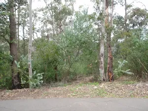 Track opening onto road