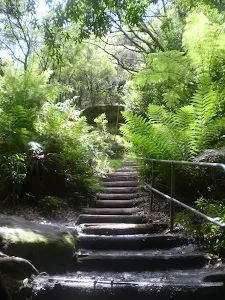 Stairs on Round Walk track