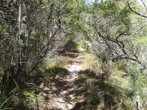 Track to North Tura car park