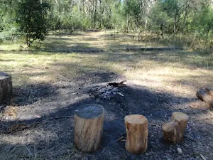 Ten Mile Hollow Campsite