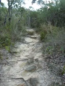 Fredericks Track