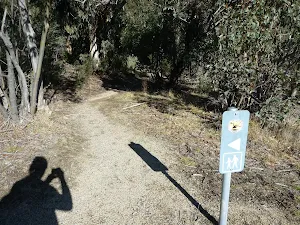 NPWS walking sign on Waterfall Walk