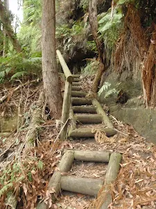Steps and handrails in places