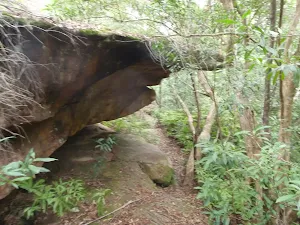 Small cave on Middle Harbour Track