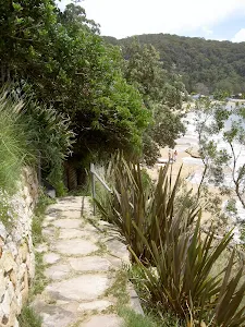 Track south of Mackerel Beach