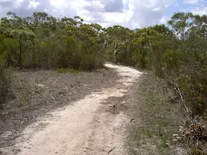 Challenger Management Trail
