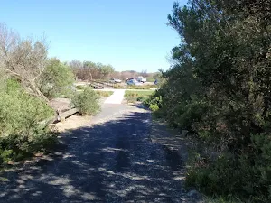 Freemans Camp path leading to Birdie Beach carpark