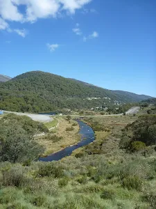 Looking along the Thredbo River