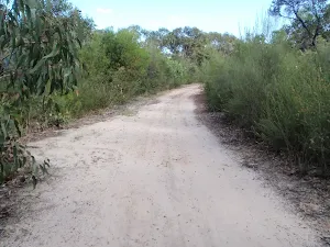 Currie Rd Service trail