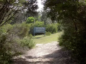 Service track to Providential Point campsite