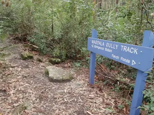 Magdala Gully Track sign