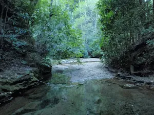 Palona Brook