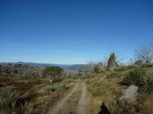 Looking along the southern side of Bobs Ridge