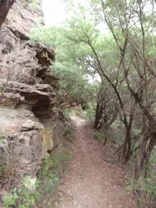 Copelands Lookout track