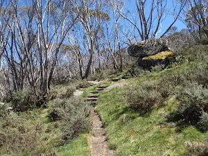 Granite Boulders and gums beside the track