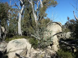 Walking amoung some granite boulders