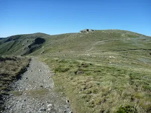 Looking to Carruthers Peak from the east