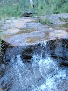 Small cascade on Lincoln Creek
