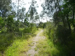 Track on Galgabba Point walk