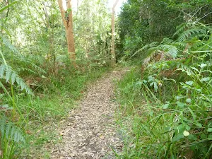 Track on the Galgabba Point walk