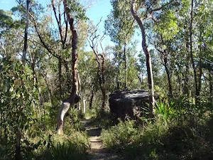 A boulder by the track