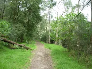 Wide track on the southern side of Crosslands Reserve