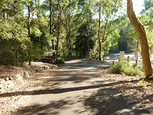 Close to an intersection at the Carnley Reserve car park and Wildlife Exhibits entrance in Blackbutt Reserve
