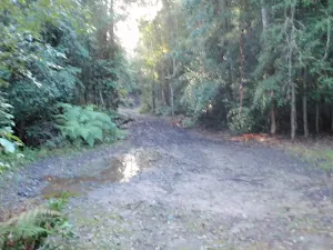 end of Tooheys road