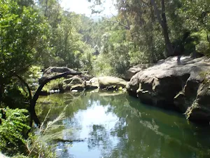 Cherrybrook to Hornsby via Fishponds