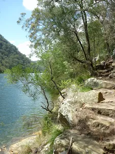 Track beside Berowra Creek