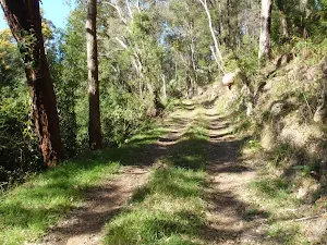 Simpsons Track