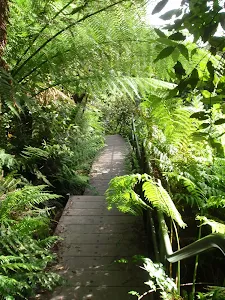 Leura Creek Walkway