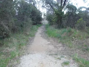 Leura Dirt Trail