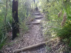 Steps along the way