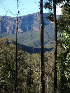 Mt Hay area from north