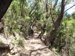Continuing along the side of the hill
