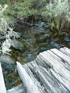Bridge crossing creek