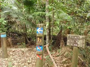 Track markers