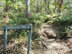 Bottom of Morella Rd Track