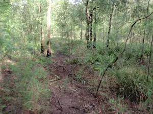Machins Crater track