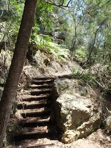 Steps at bottom of Bobbin Head Track