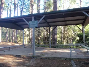 Pines picnic area