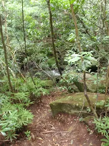 Crossing Lovers Jump Creek
