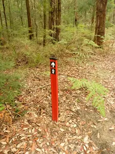 track marker near Pines picnic area