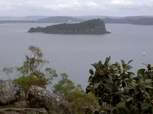 Lion Island from West Head Lookout