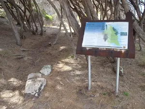 Information sign on track north of Saltwater Creek