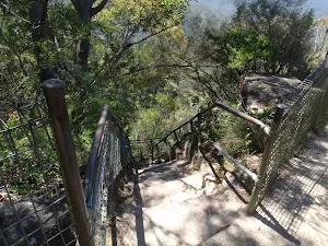 Top of the Giant Staircase