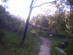Charles Darwin Walk